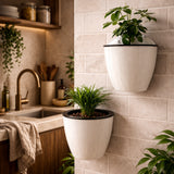 Vaso de Parede Autoirrigável para Plantas e Flores