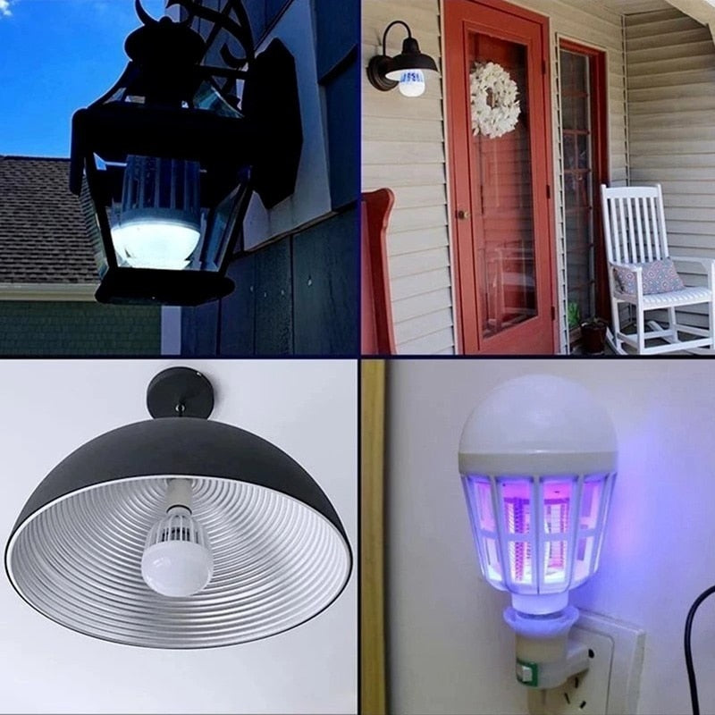 Quatro tipos de luminárias e lâmpadas, incluindo foco externo, abajur, luminária de teto e lâmpada de insetos com luz UV