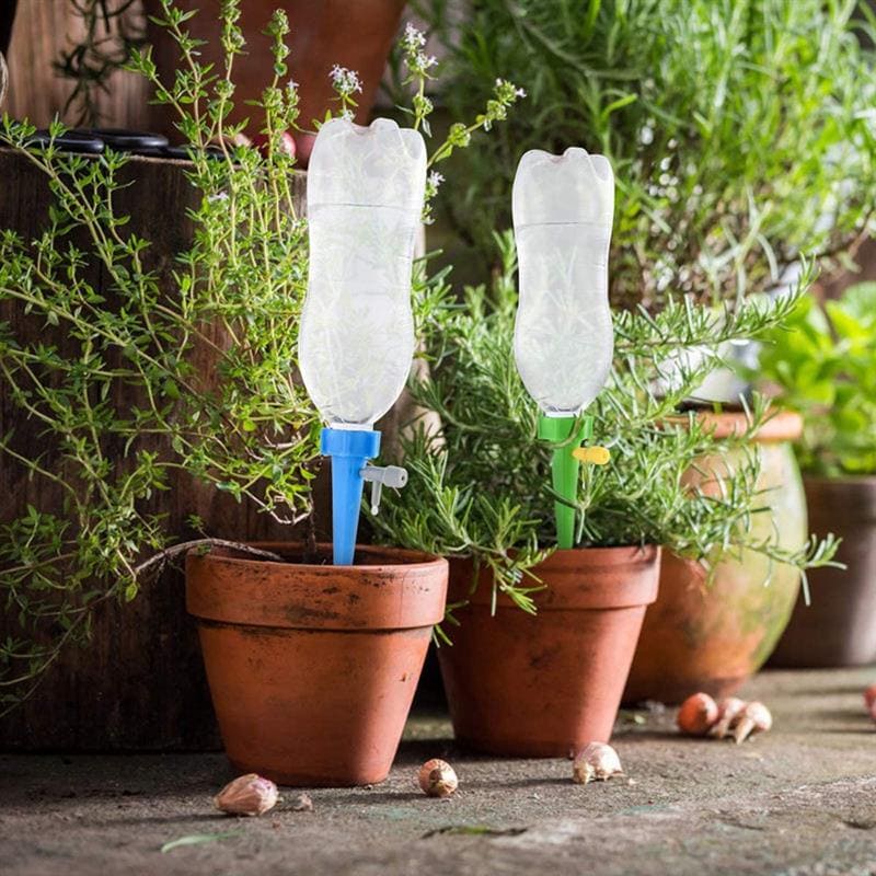 Vasos de barro com plantas verdes e irrigadores automáticos feitos com garrafas plásticas reutilizadas