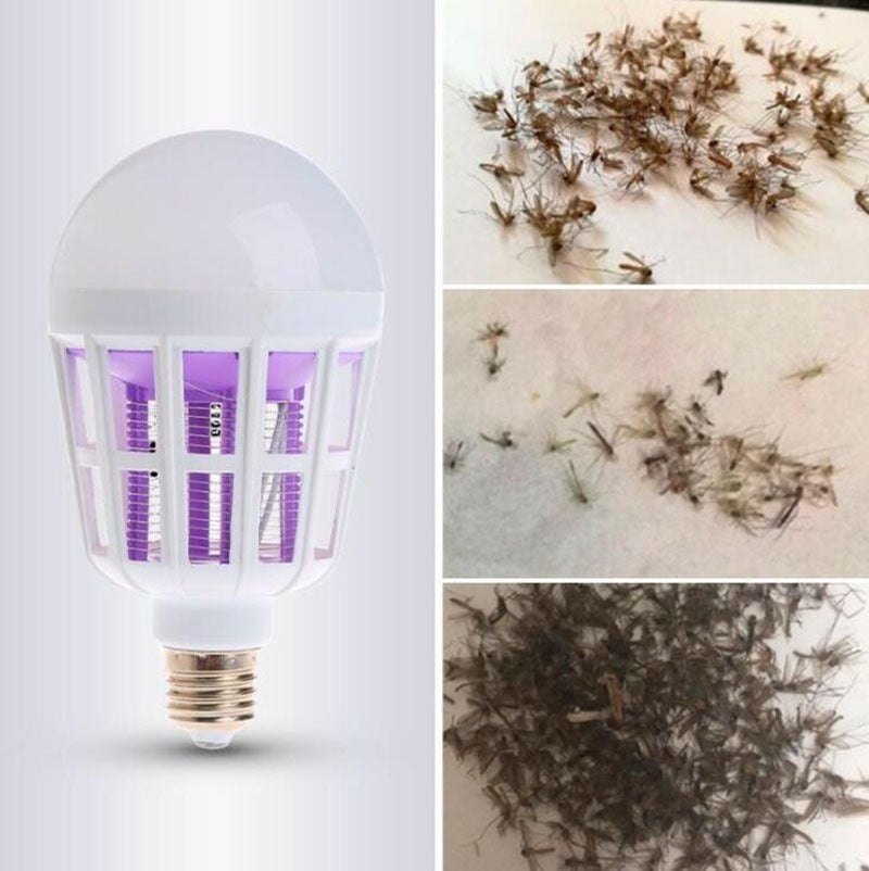 Lâmpada elétrica anti-mosquito com luz UV e insetos mortos agrupados em três placas